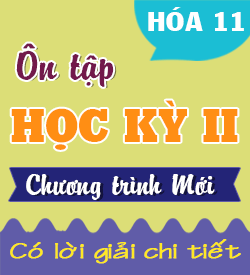 Ôn tập Học kỳ II (KNTT_HH_11)